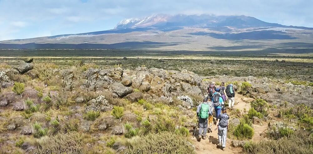 VIP Kilimanjaro
