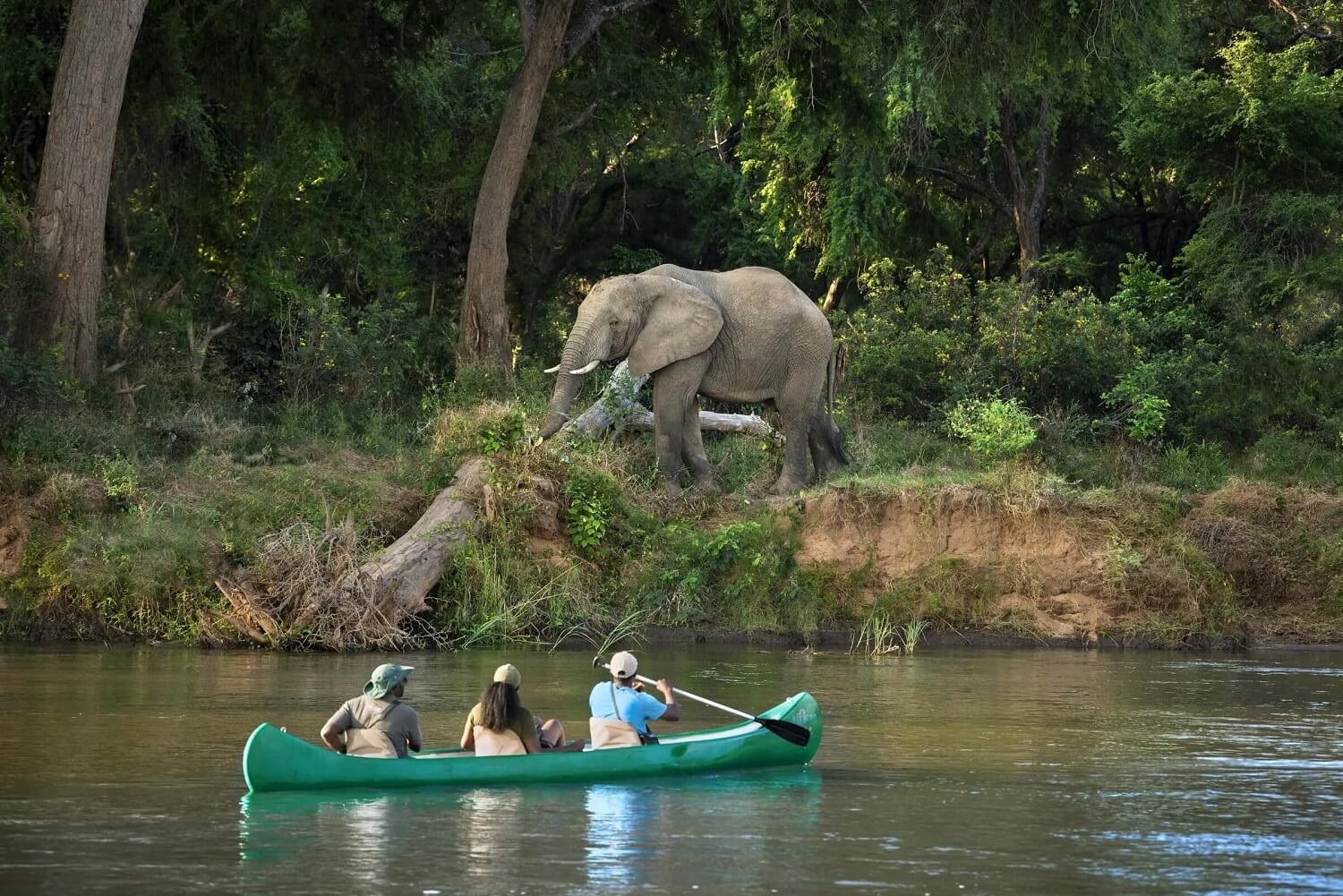 River Safari
