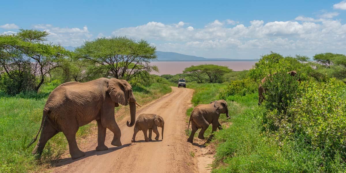 Tarangire