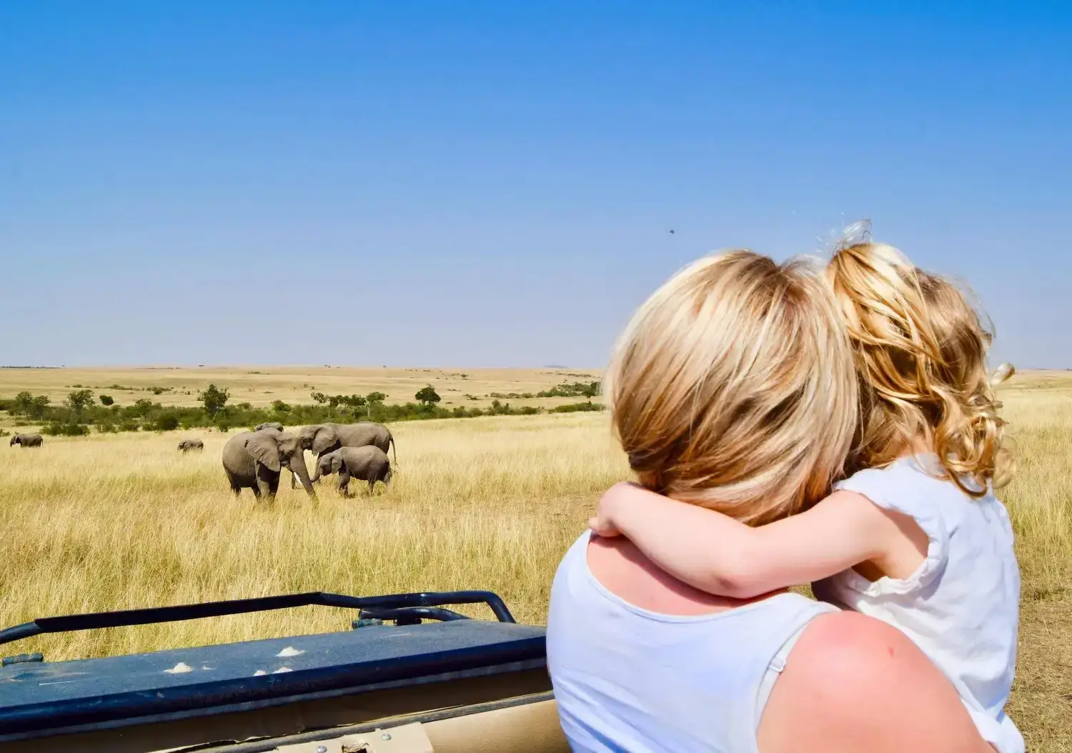Family Safari