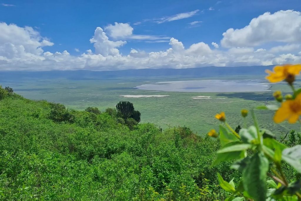 Ngorongoro