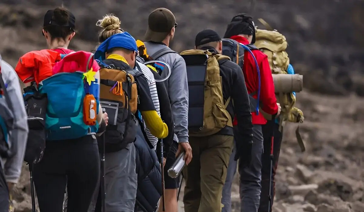 Kilimanjaro