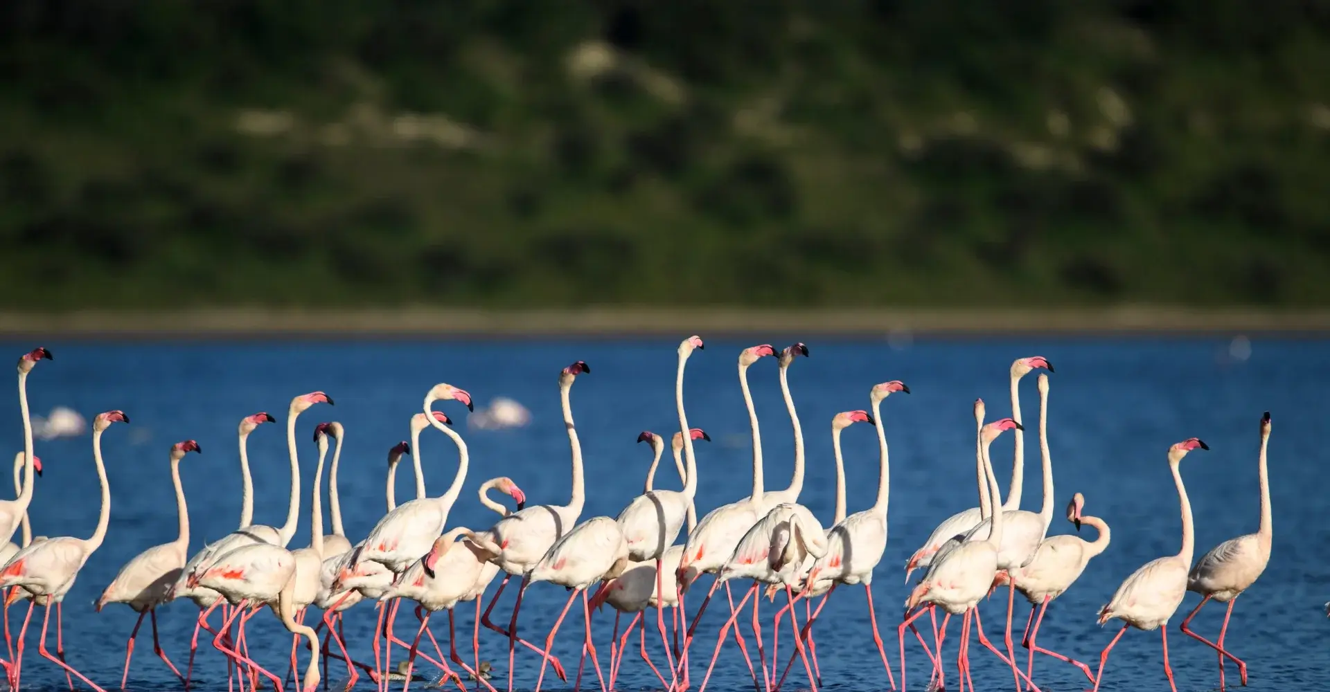Lake Manyara